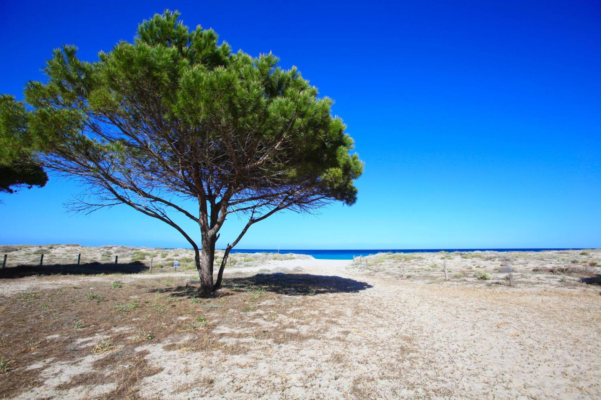 Resort Abbaia Ba Budoni Esterno foto