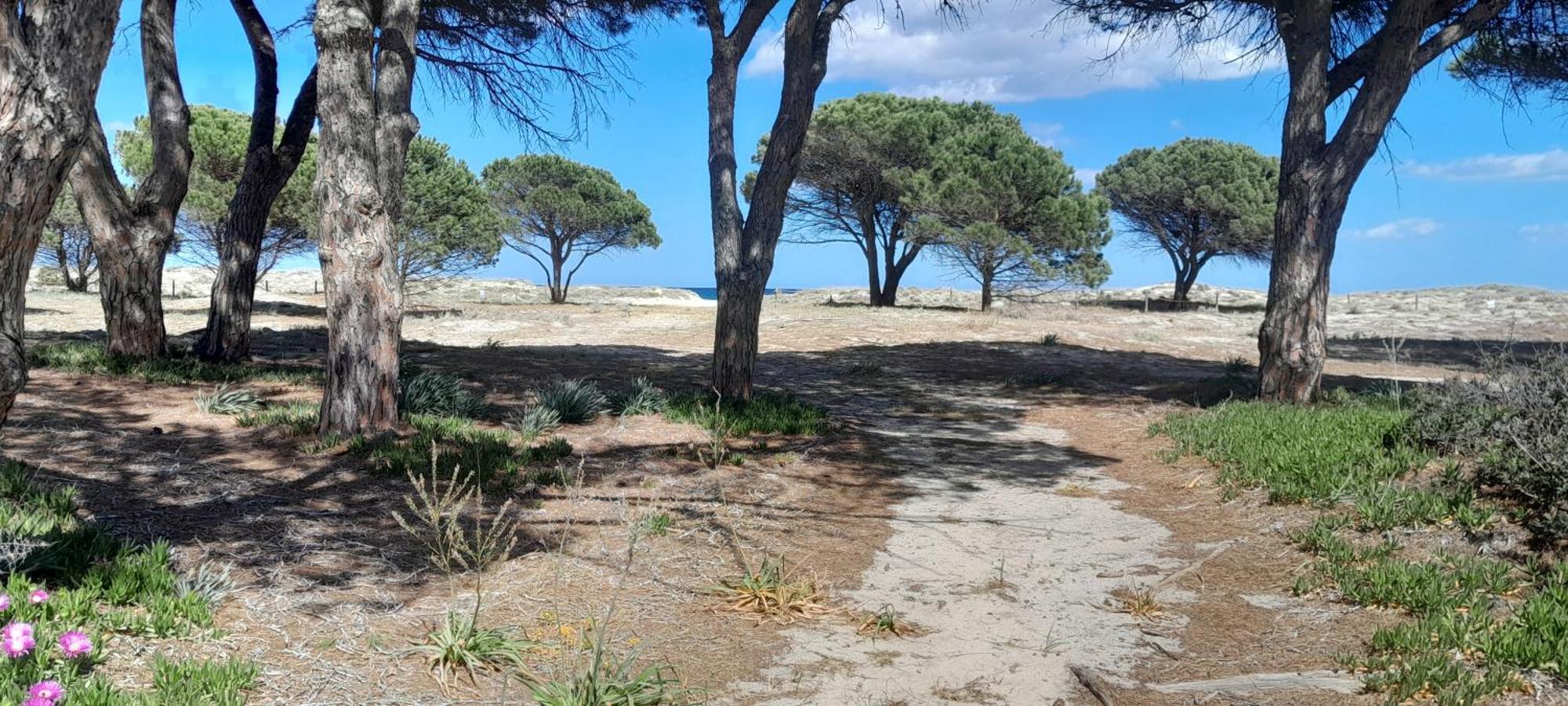 Resort Abbaia Ba Budoni Esterno foto