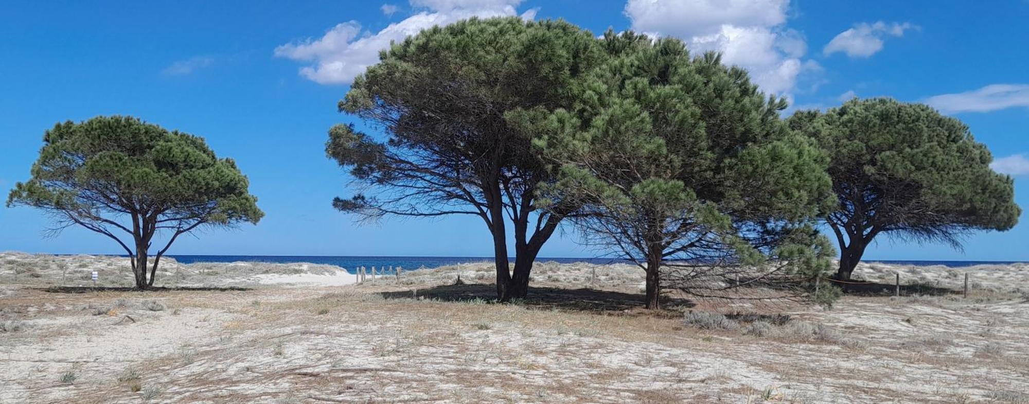 Resort Abbaia Ba Budoni Esterno foto