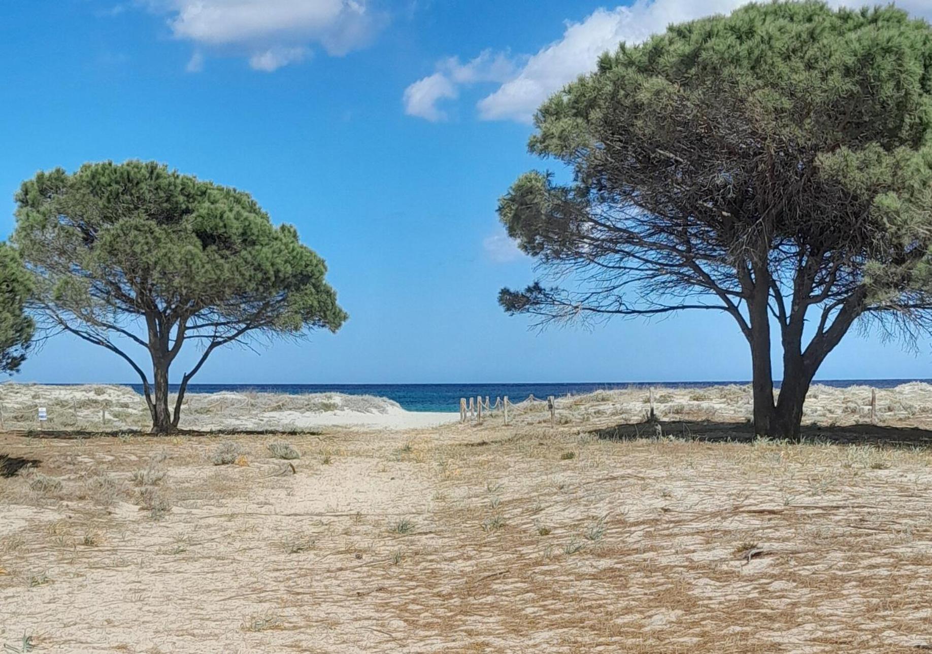 Resort Abbaia Ba Budoni Esterno foto