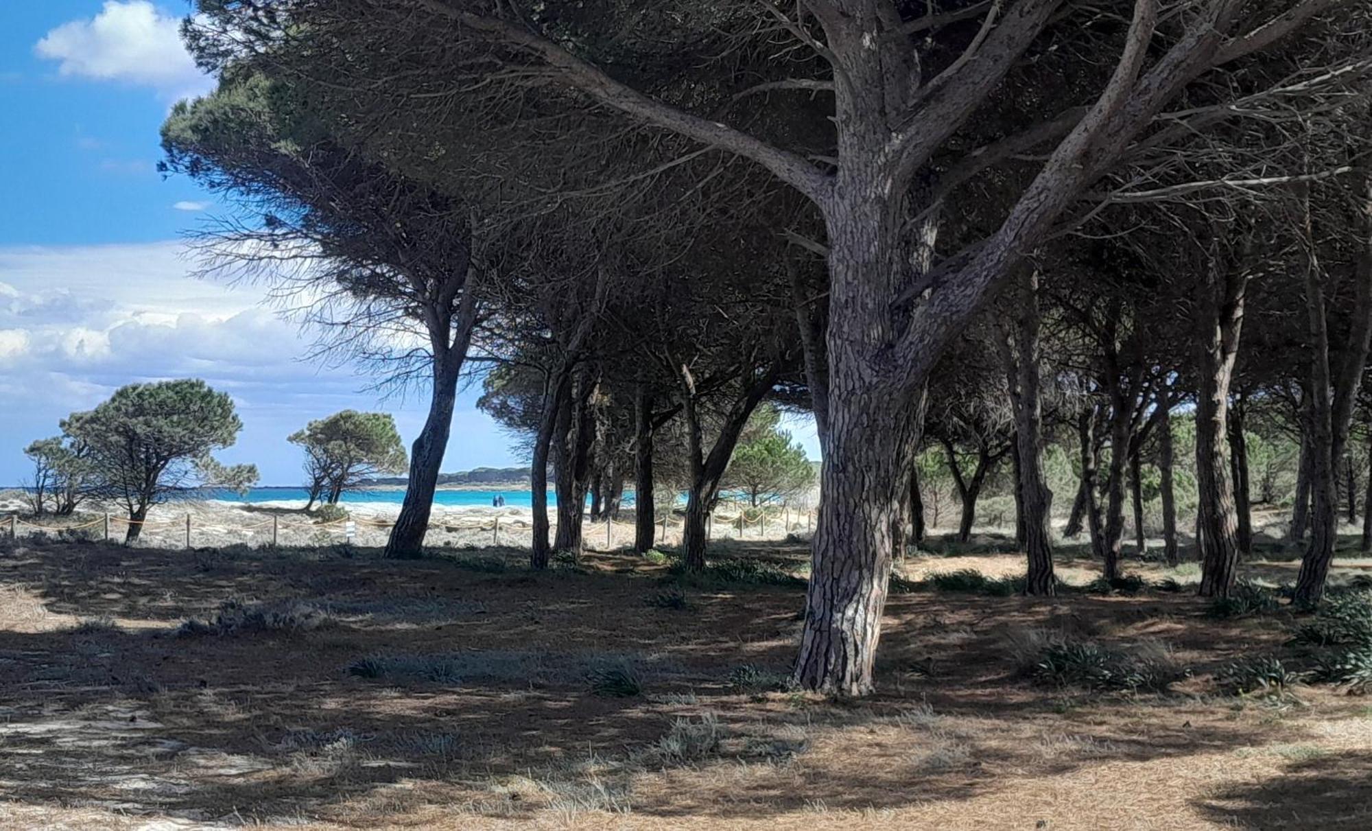 Resort Abbaia Ba Budoni Esterno foto